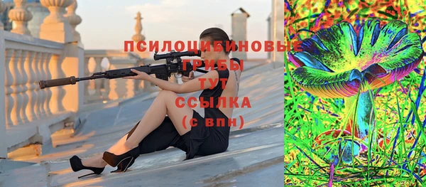 МДПВ Бугульма
