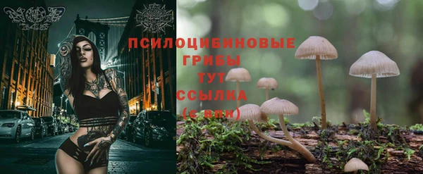 ГАЛЛЮЦИНОГЕННЫЕ ГРИБЫ Волоколамск