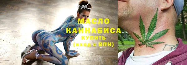 крисы Бородино