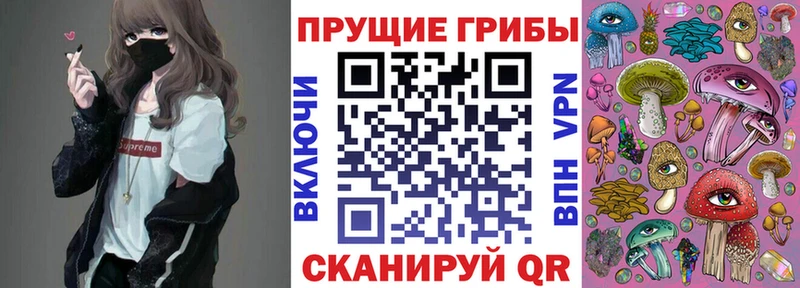 Псилоцибиновые грибы Cubensis  blacksprut зеркало  Донской  закладки 